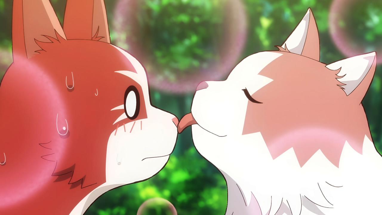 Neko to Ryū anuncia segunda temporada para 2027: el dragón vuelve — AniMiaw
